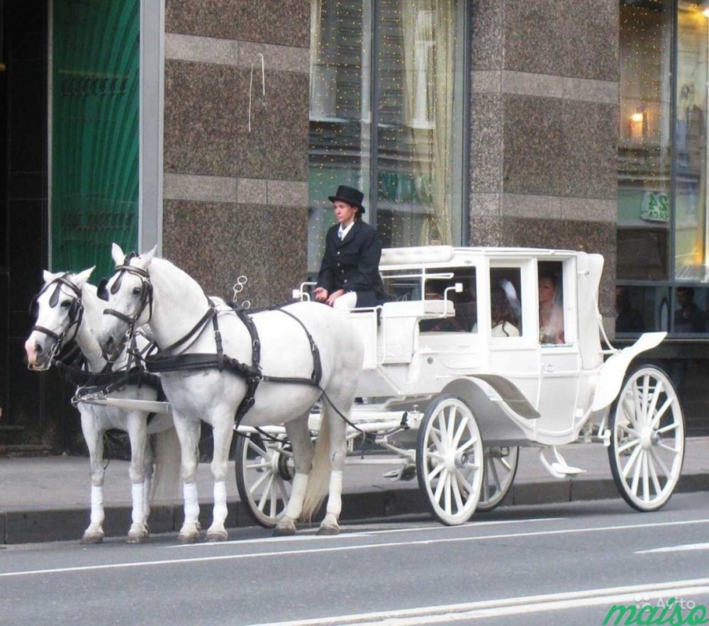 Свадебная карета с лошадьми