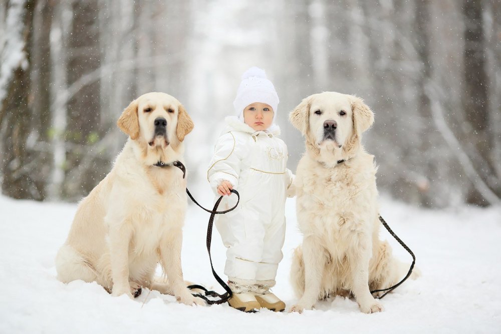 Человек гуляет с собакой зимой