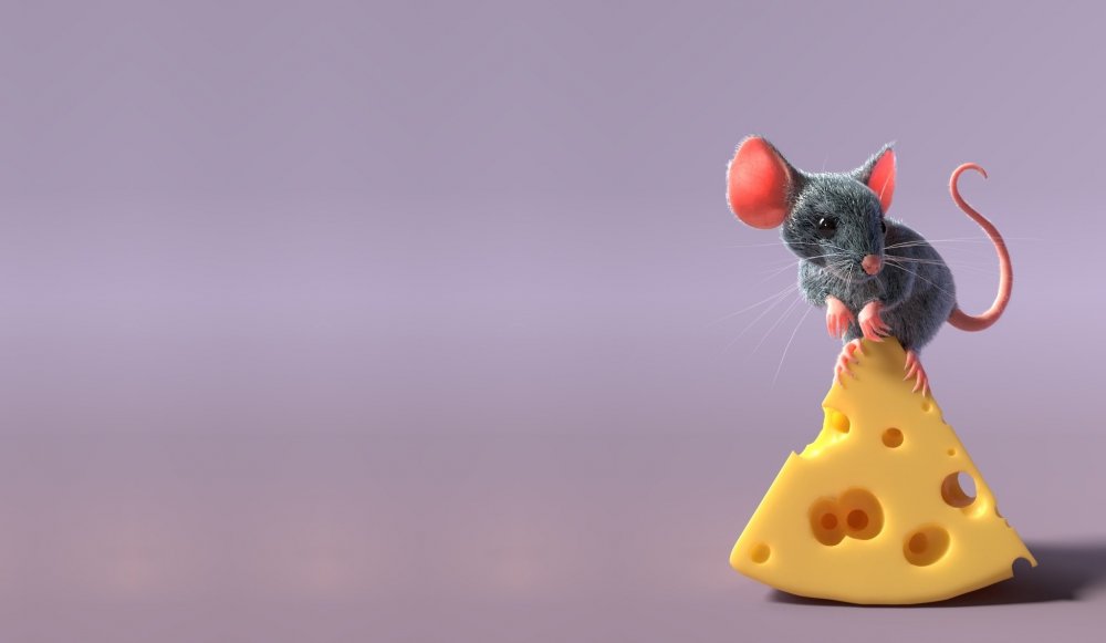 Мышка в сыре