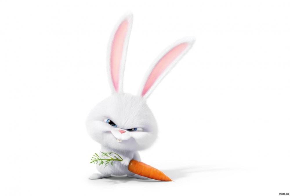 Тайная жизнь домашних животных кролик с морковкой