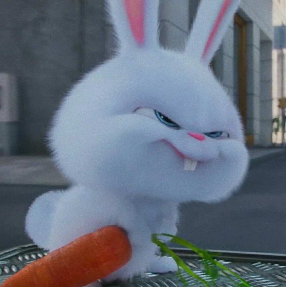 Снежок кролик из мультика Тайная жизнь