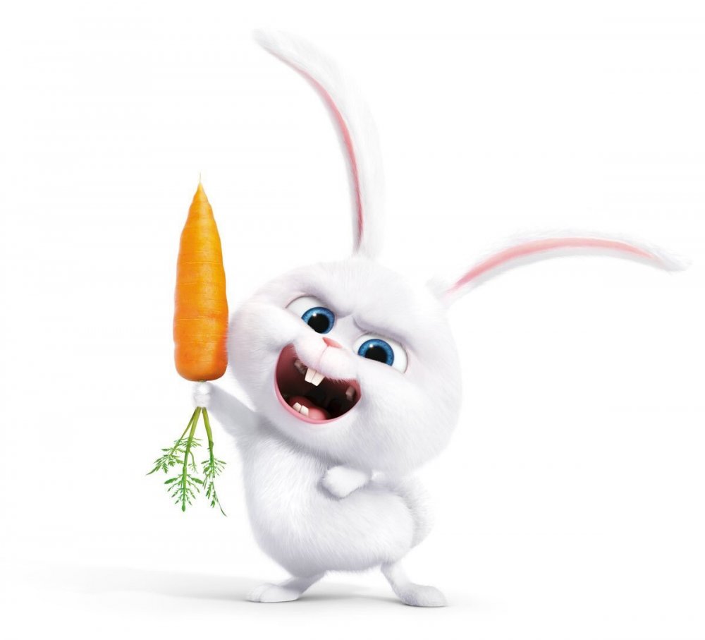 Приколы злой заяц с морковкой