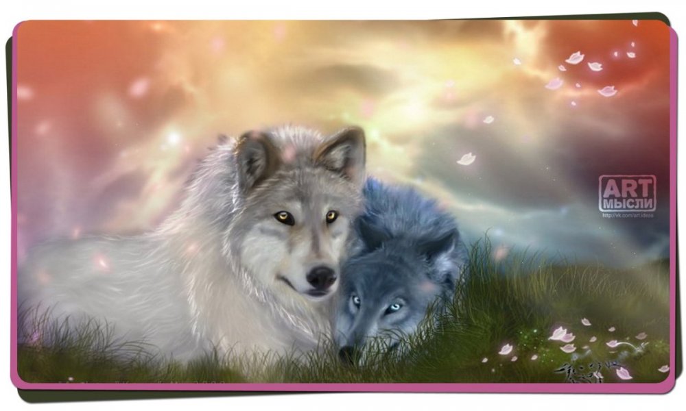 Волк и волчица обои