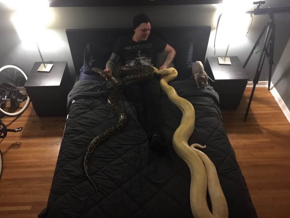 Кровать со змеями