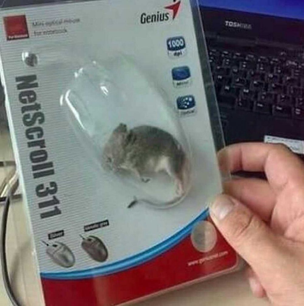 Смешная компьютерная мышь