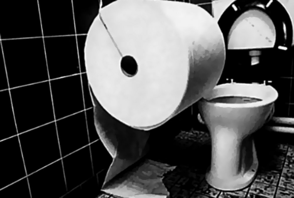 Туалетная бумага прикол