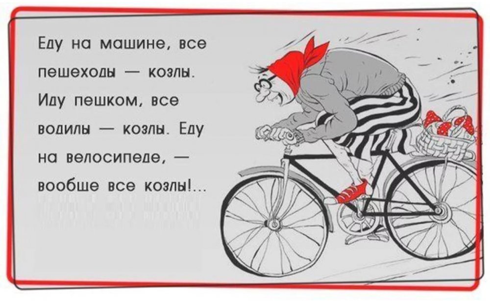 Афоризмы про велосипед