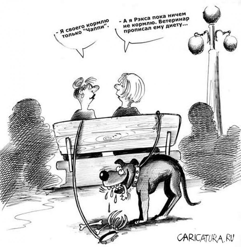 Карикатуры про собак смешные