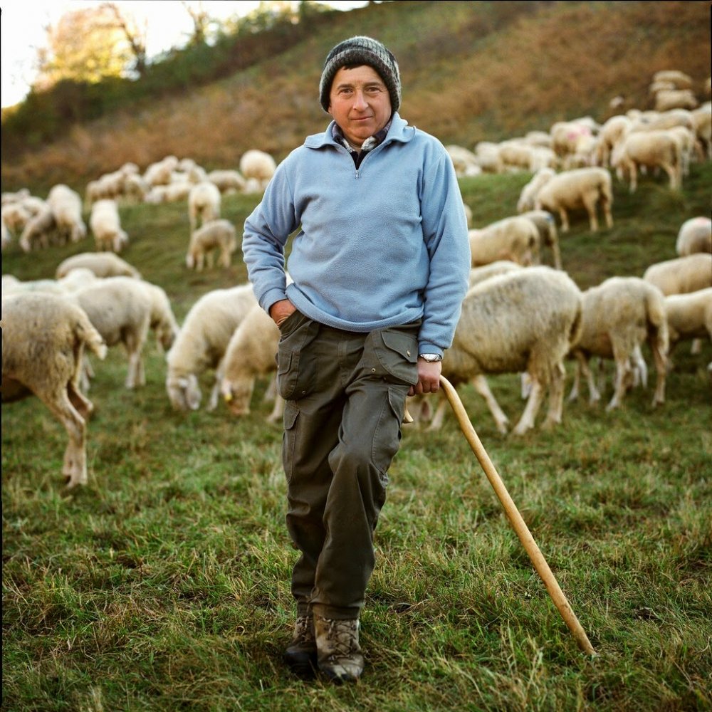 Овчар пастух