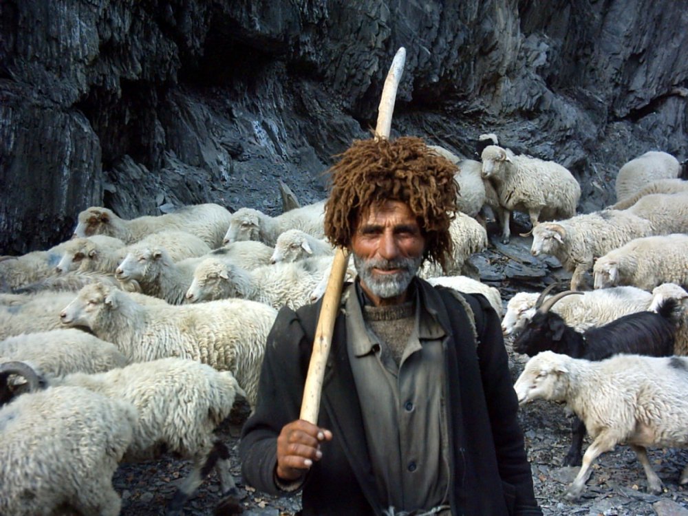 Пастух Дагестан