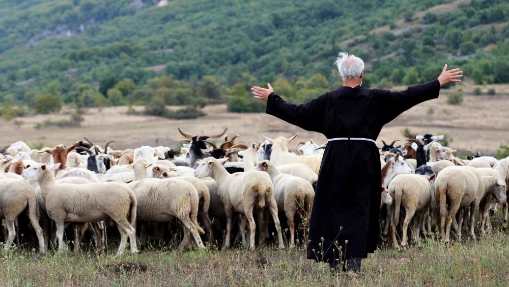 Пастух коз