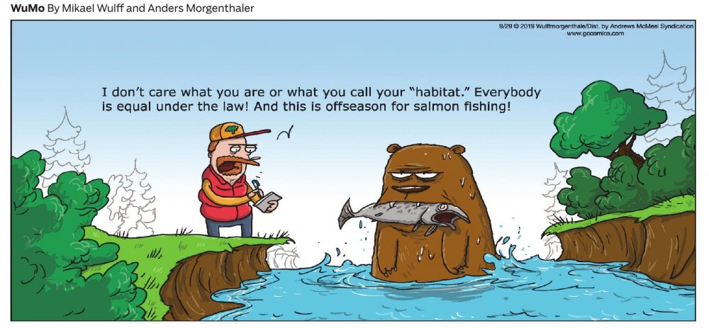 Шутки про лосось