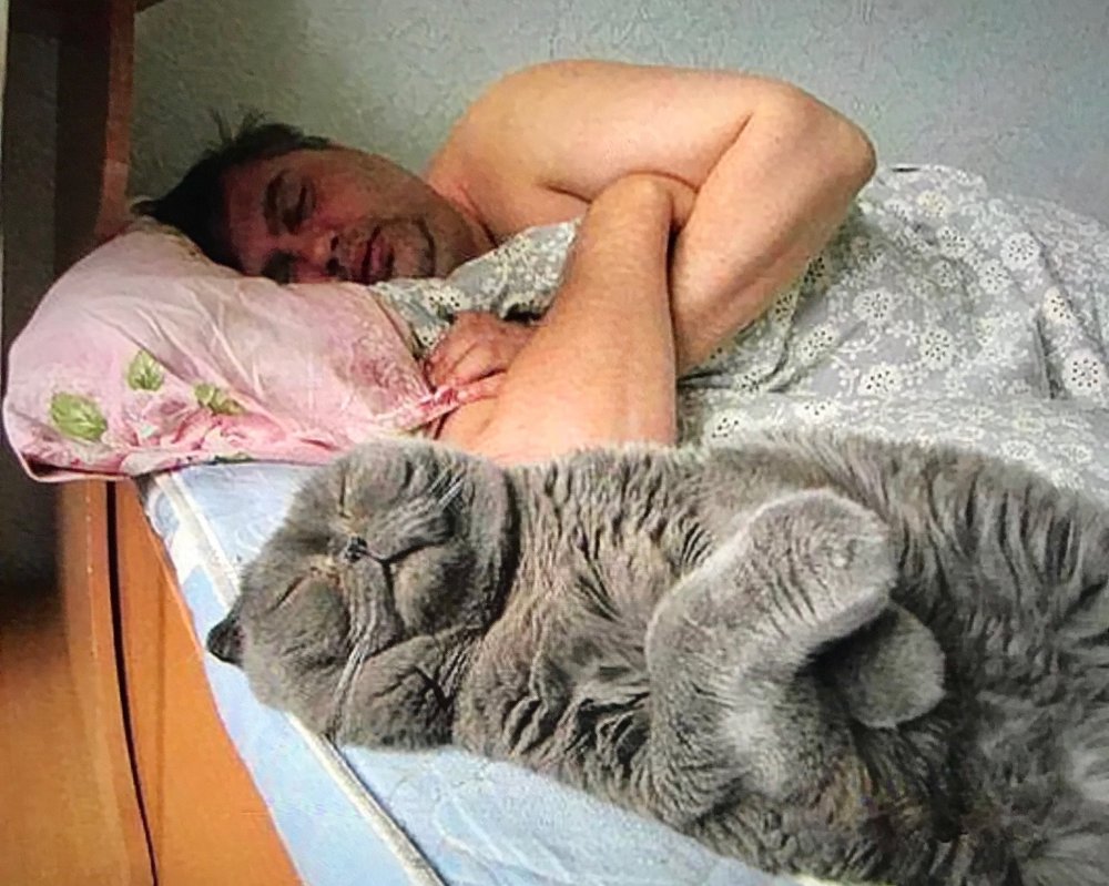 Мужчина спит с котом