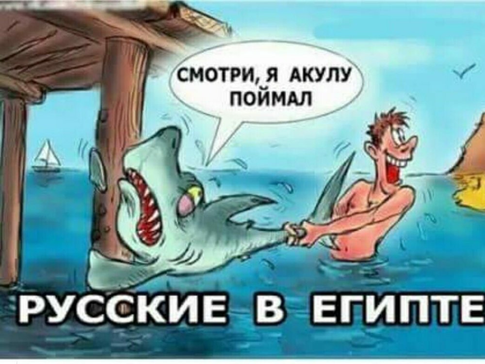 Русский турист карикатура