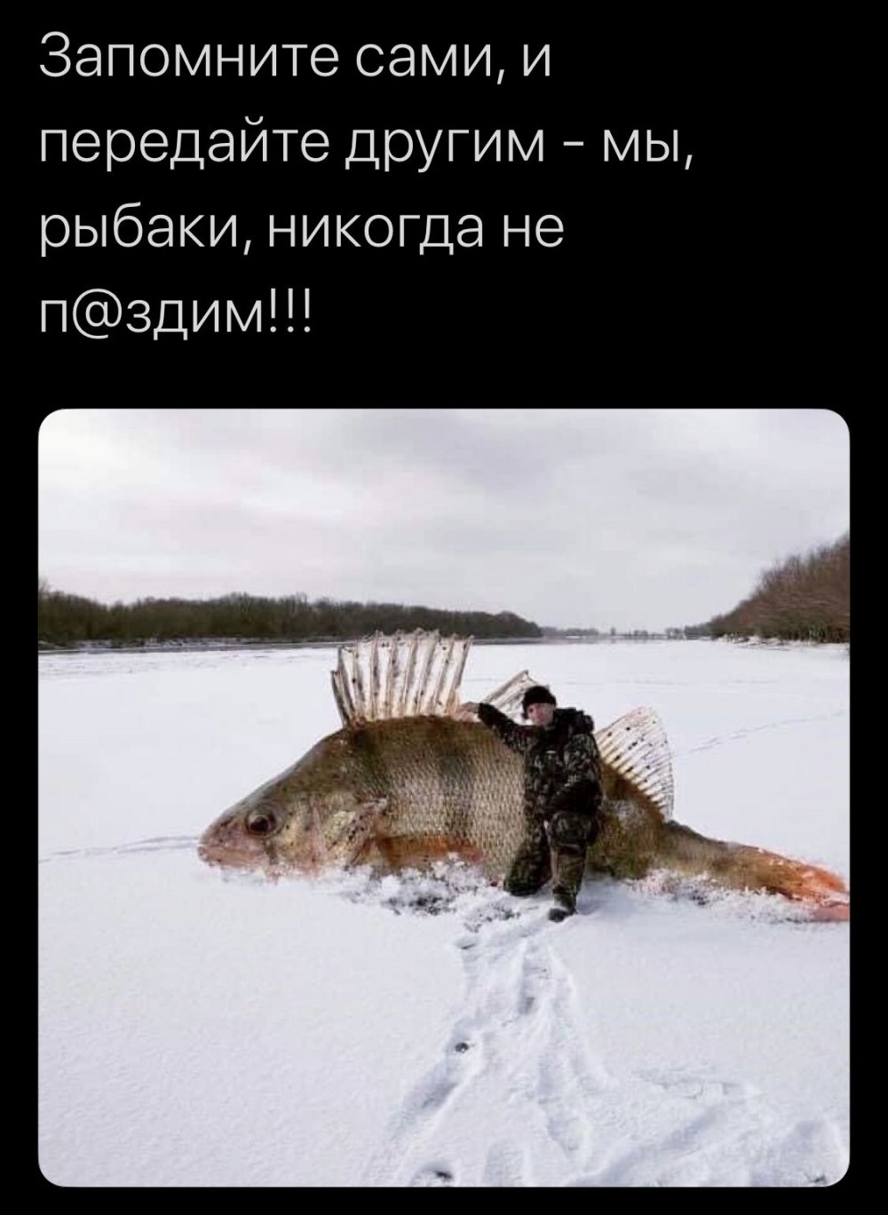 Зимняя рыбалка приколы