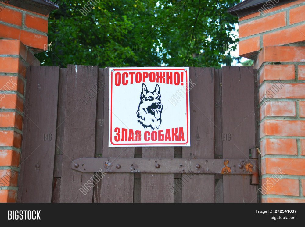 Табличка на ворота злая собака