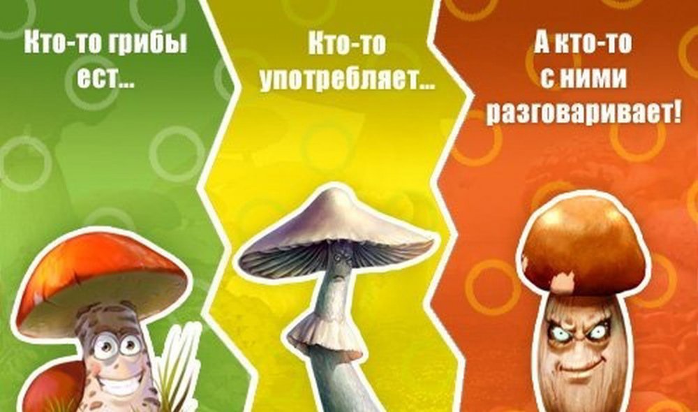 Шутку про грибов