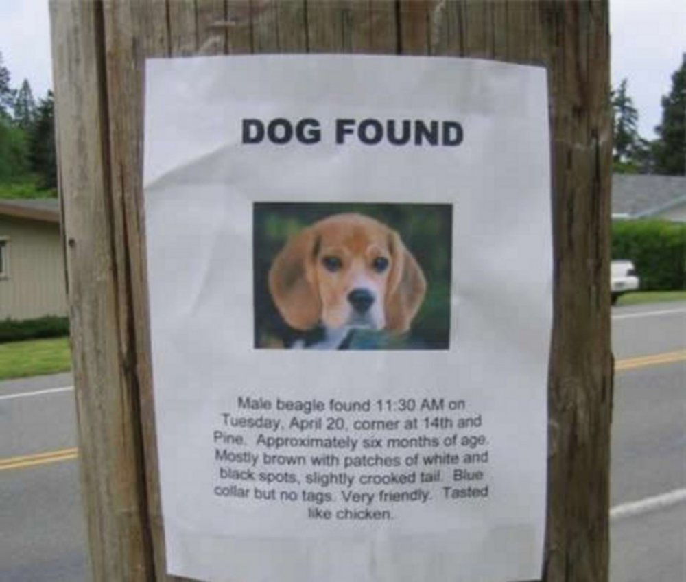 Пропала очень умная собака