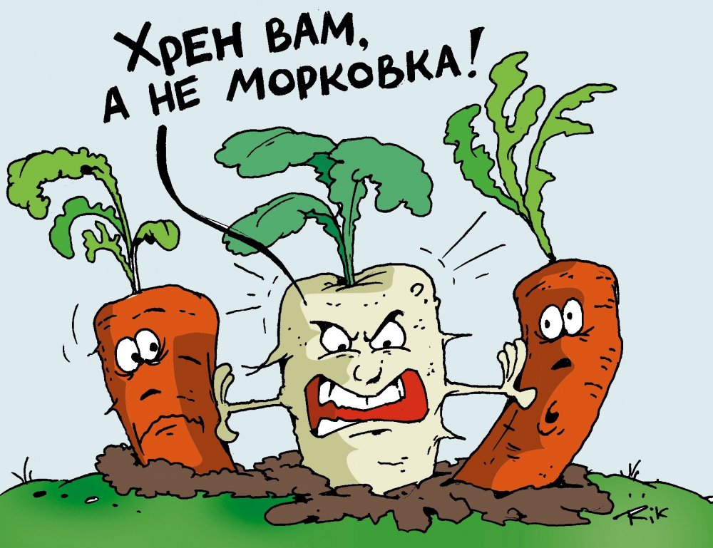 Морковка карикатура