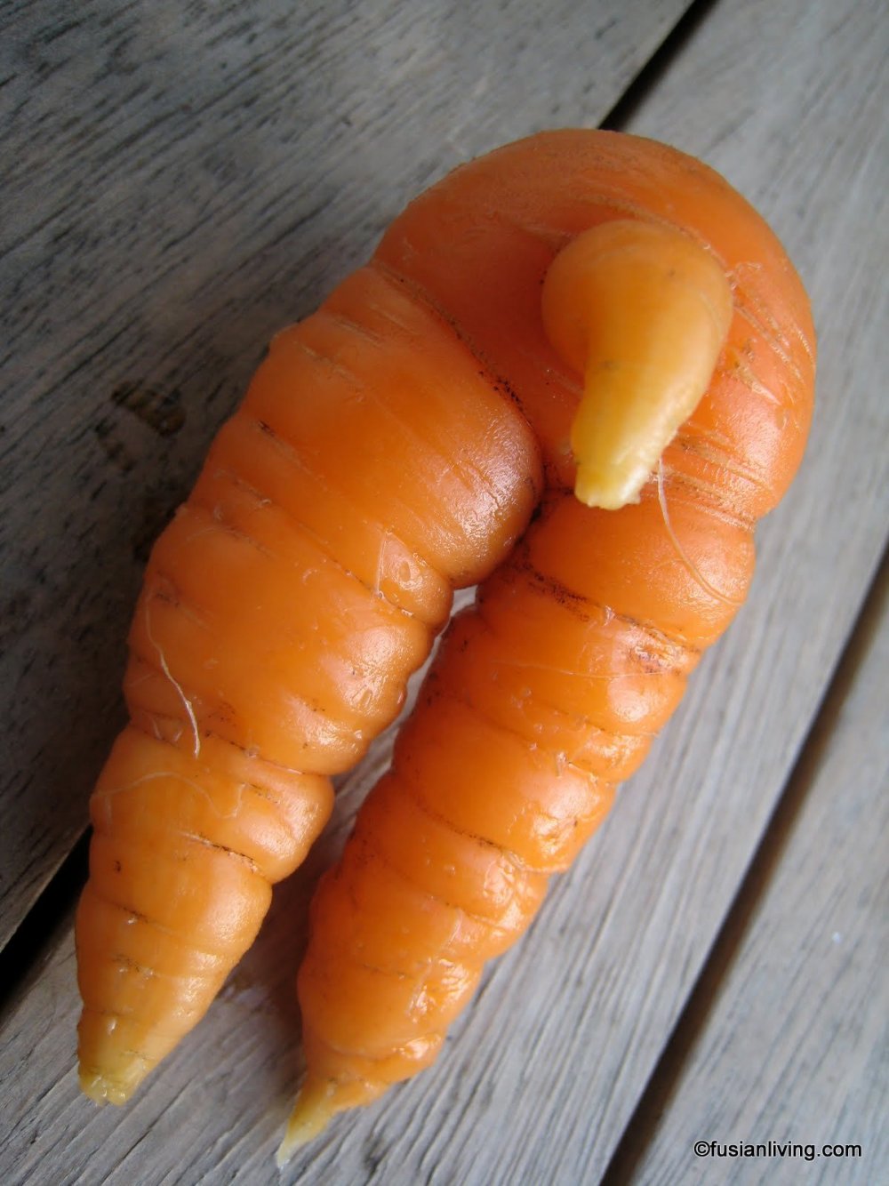 Страшная морковка
