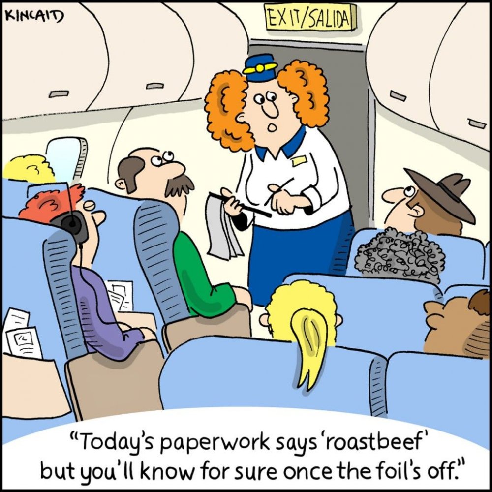 Смешные карикатуры на стюардессу