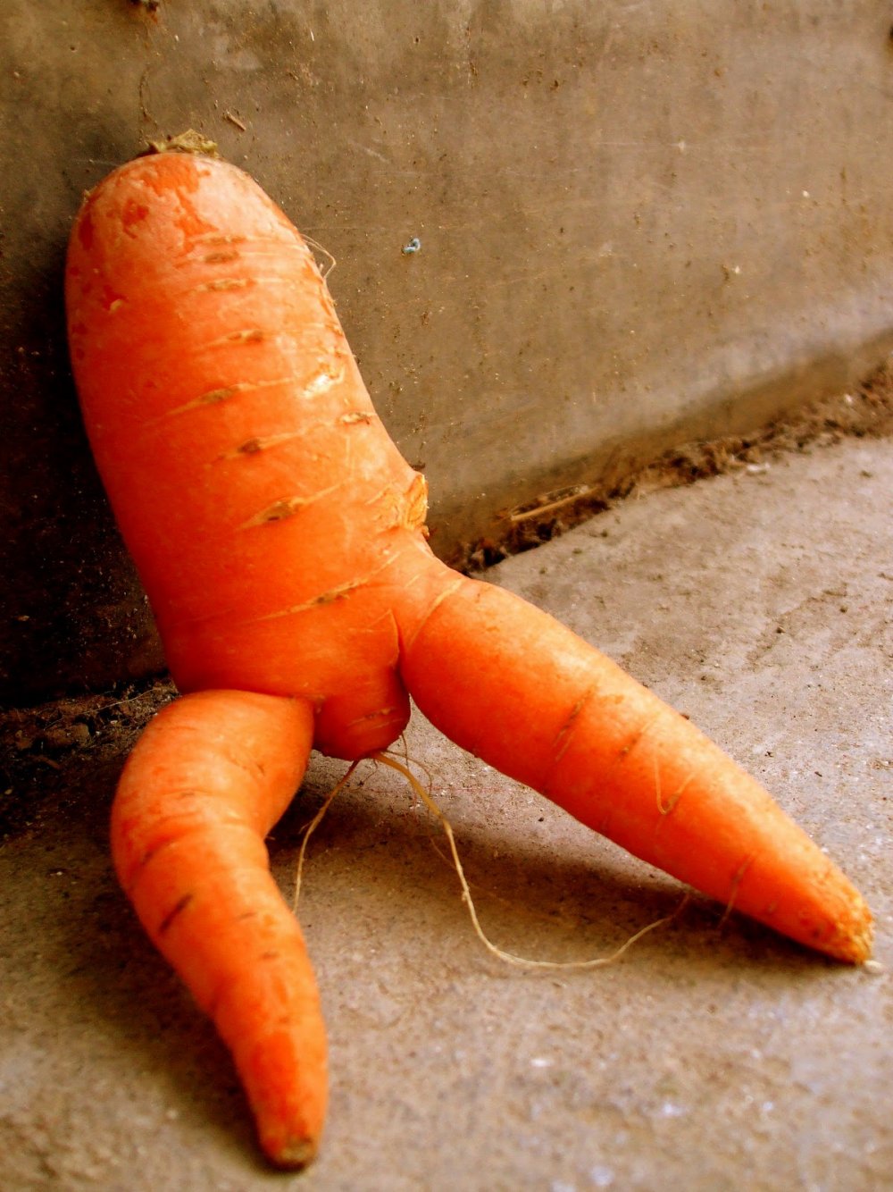 Морковь с ножками