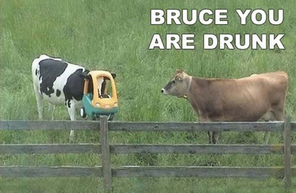 Пьяная корова