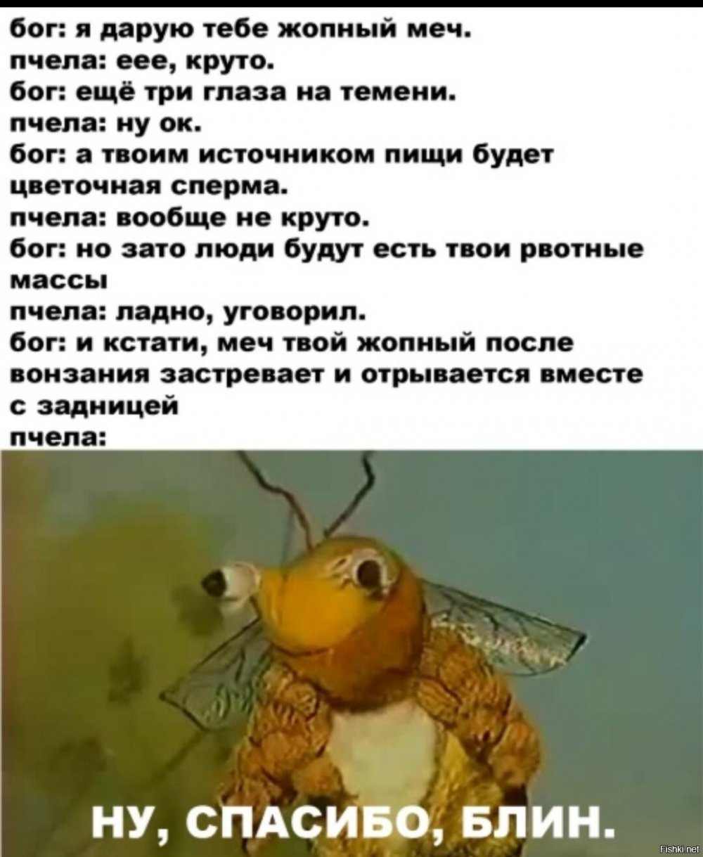 Анекдот про пчелу и соседку
