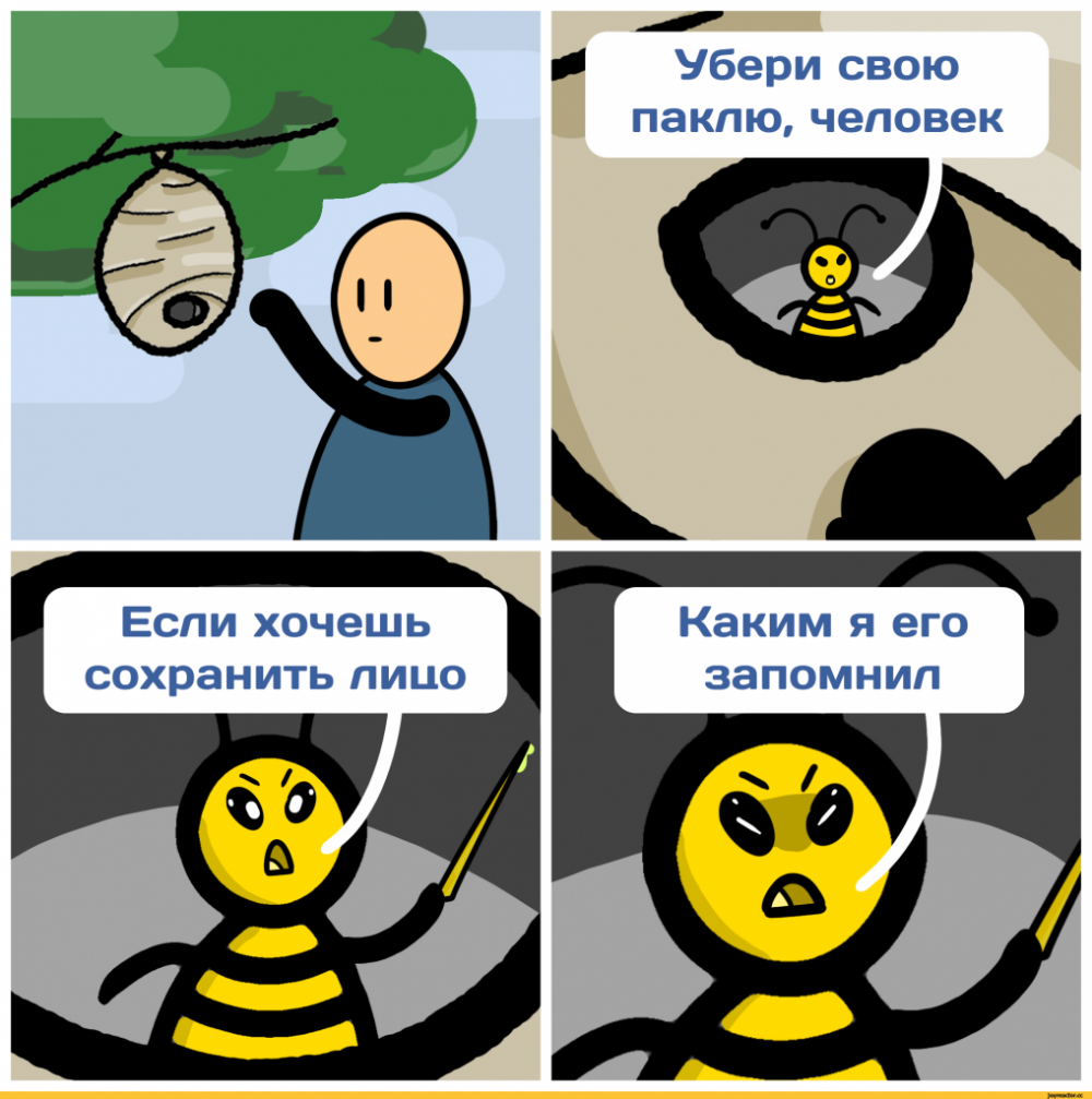 Пчела прикол