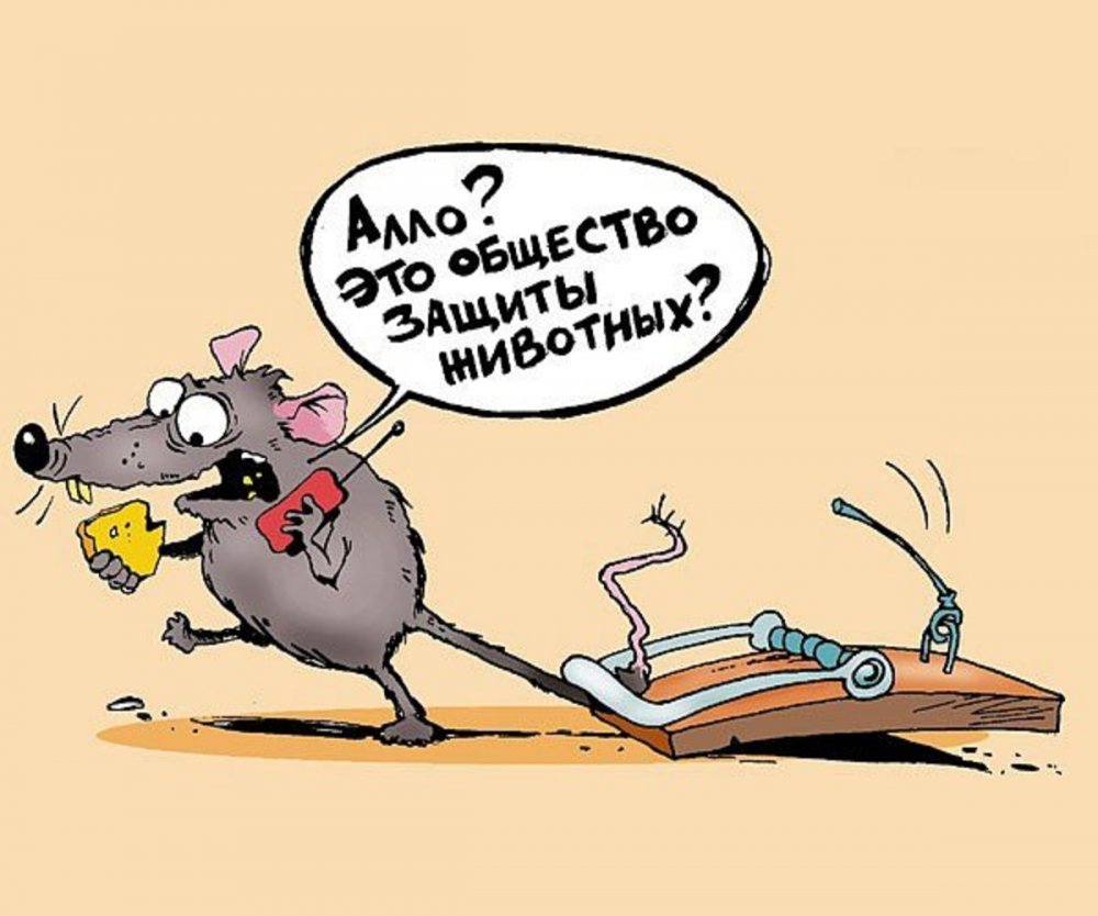 Крыса карикатура
