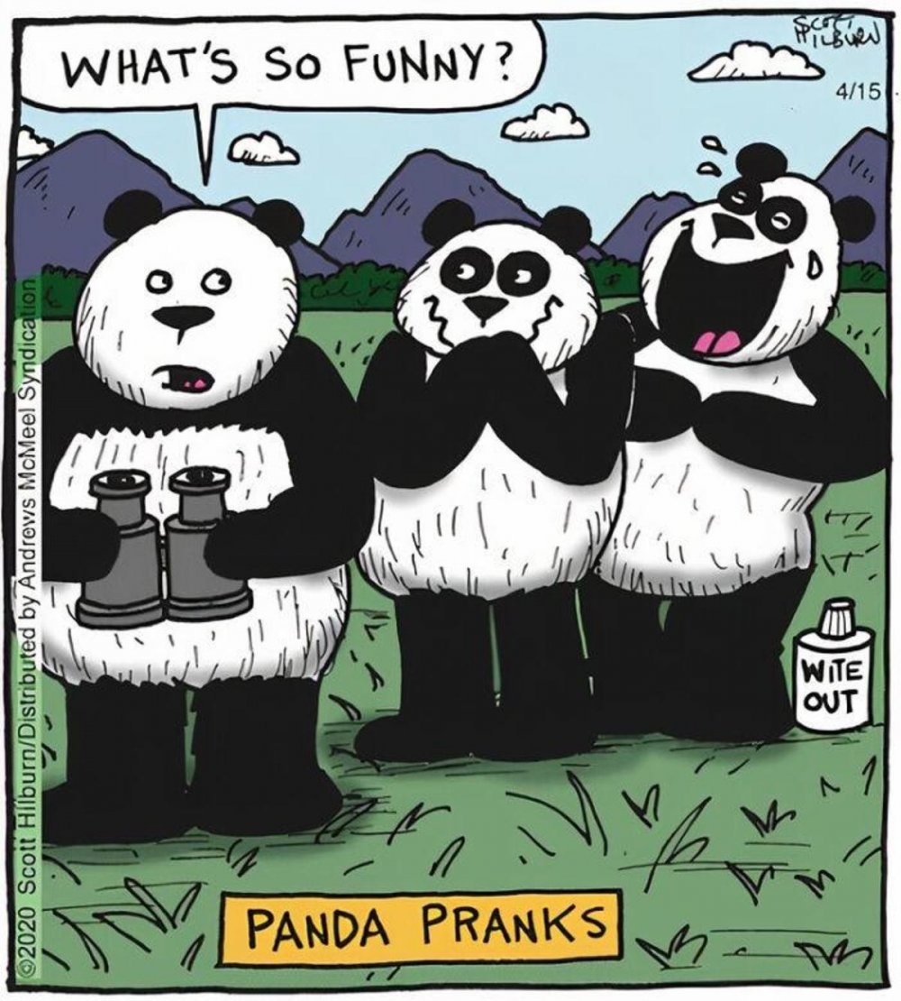 Панда юмор