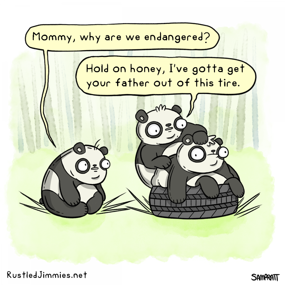 Шутки про панду
