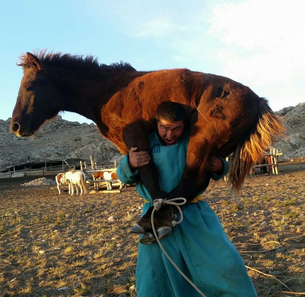 Уйгуры монголоиды