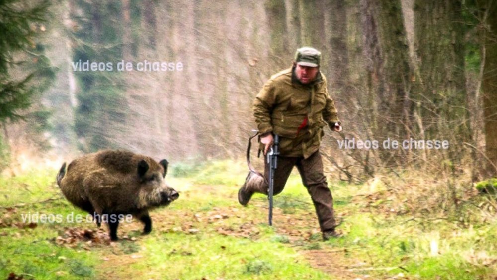 Охотник убегает от медведя