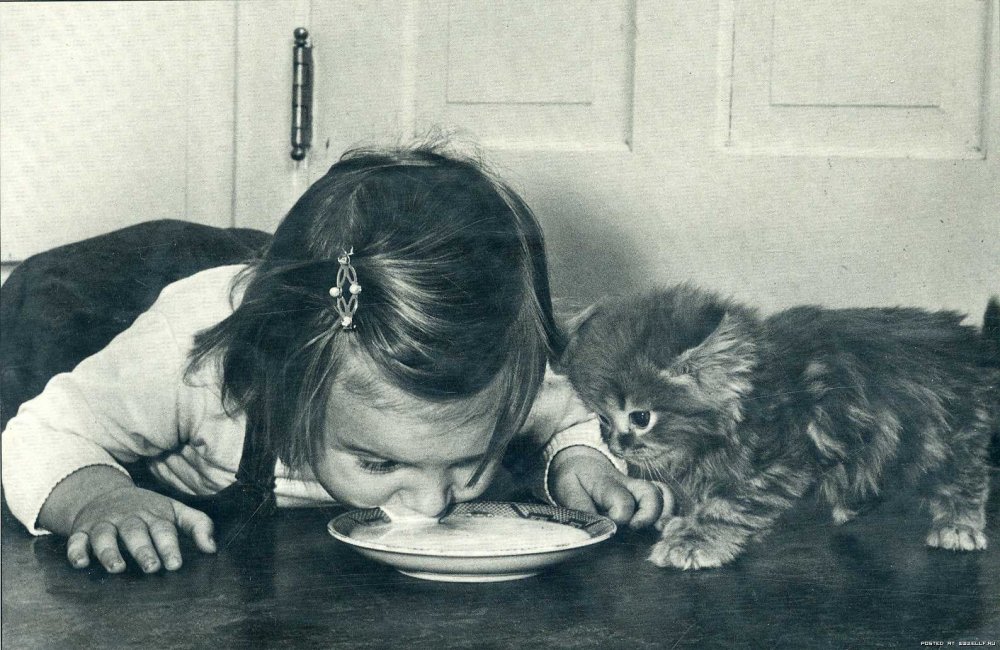 Девочка кормит котенка