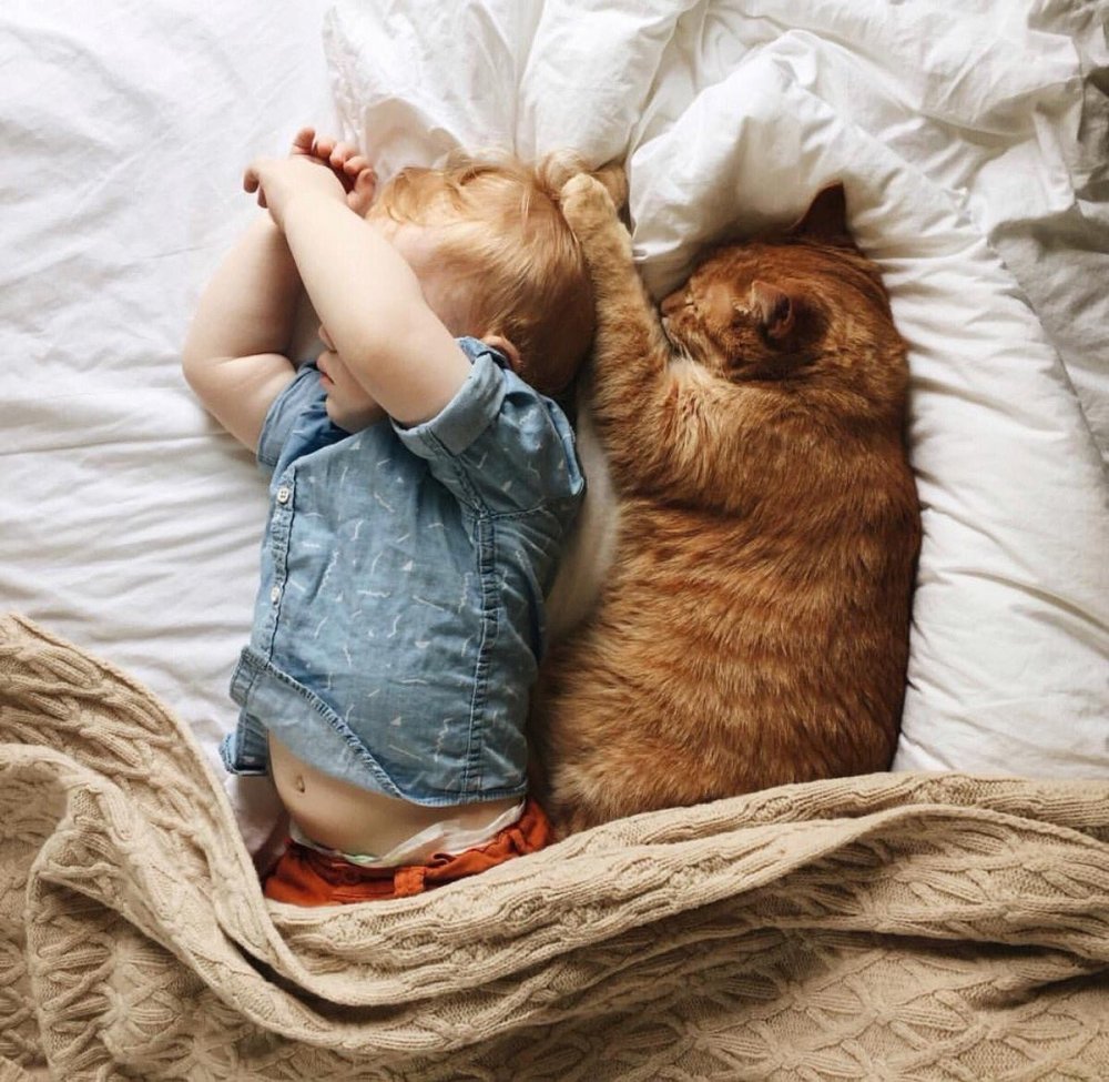 Младенец и котенок