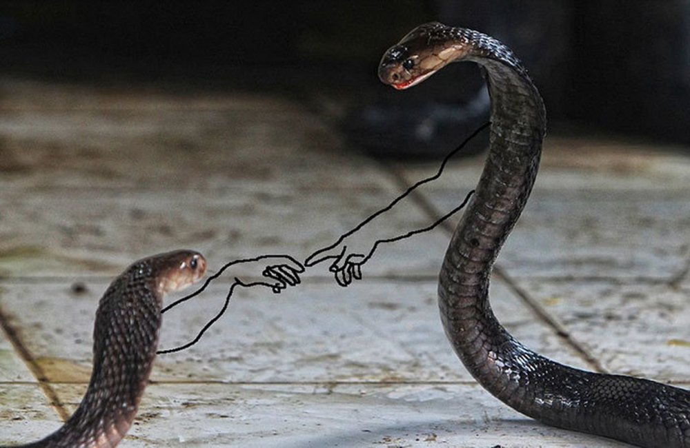 Змея с лапами