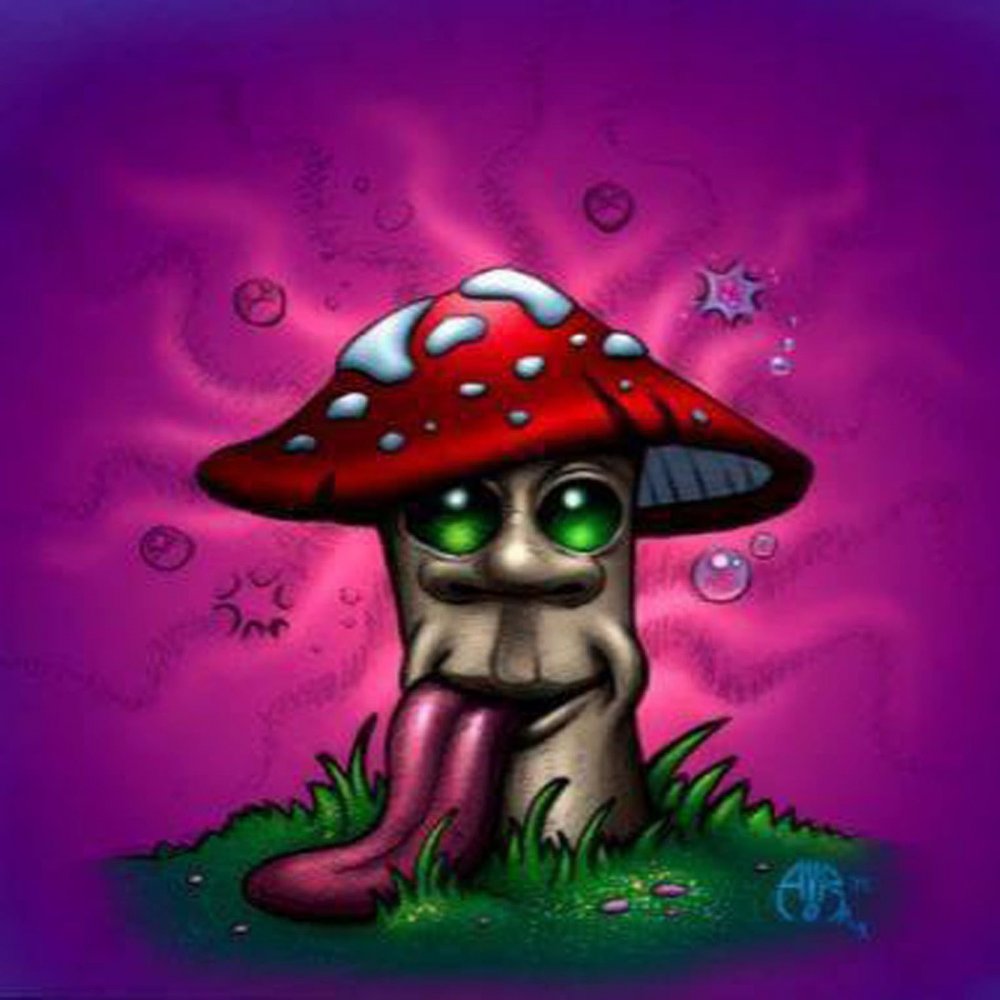 Сказочные грибы