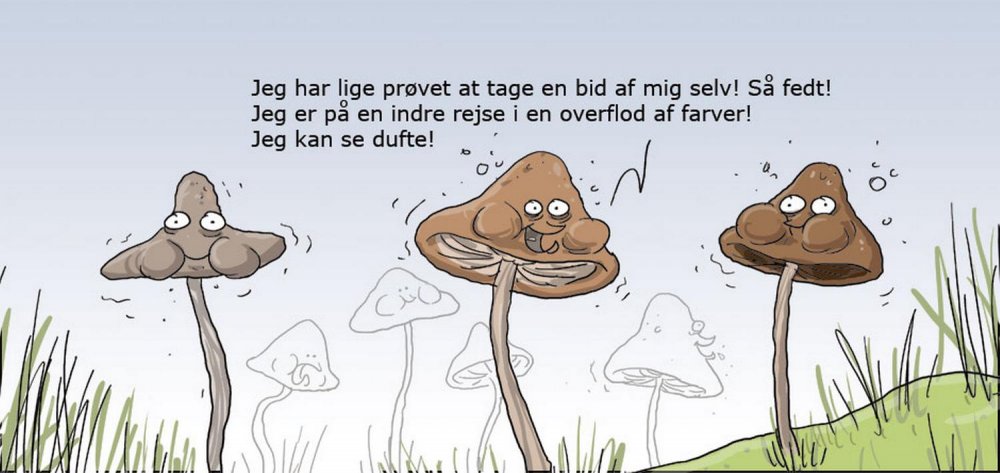 Галлюциногенные грибы карикатура