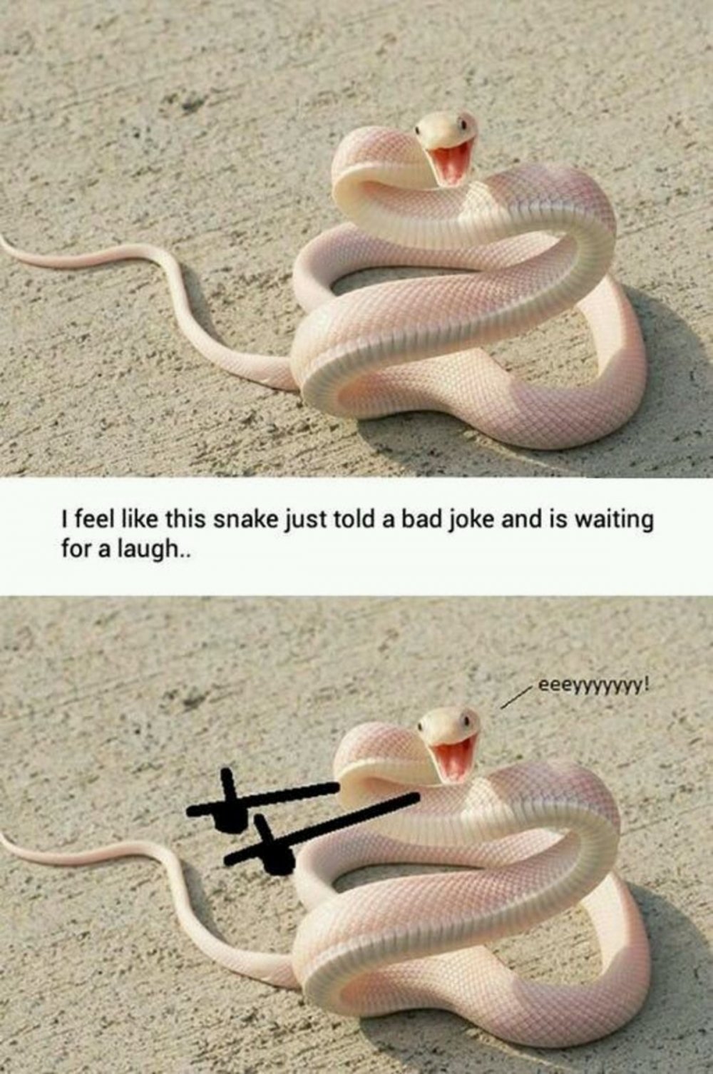 Snake прикол