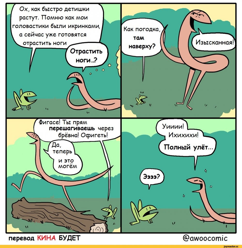 Комикс про лягушку
