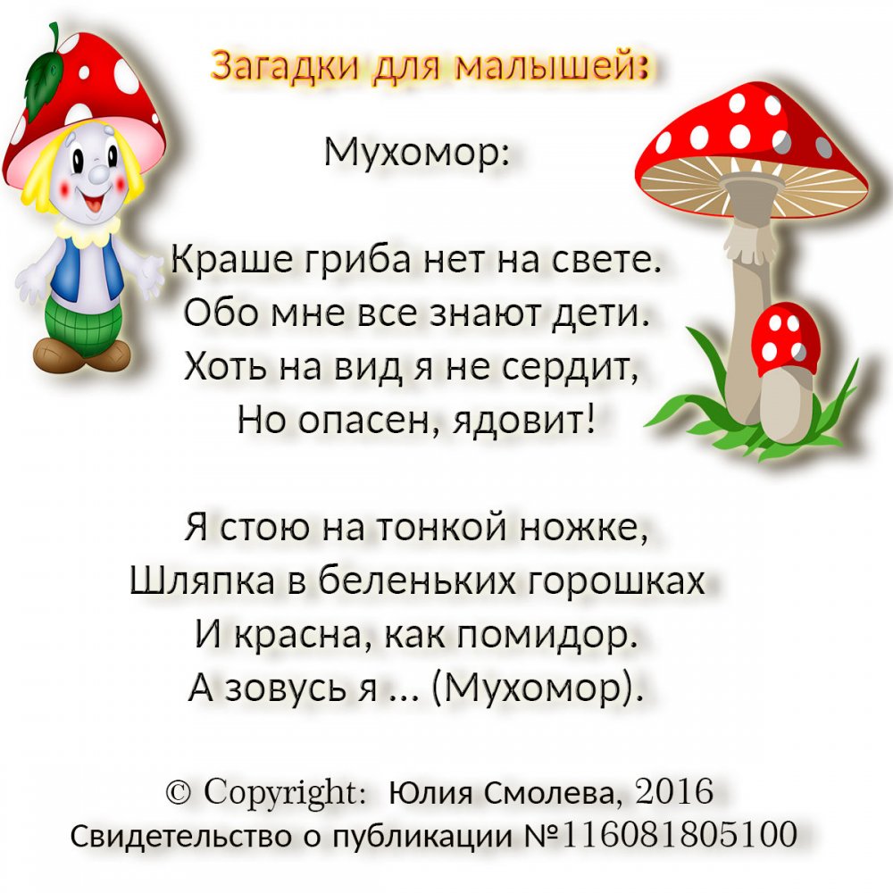 Загадки для детей про грибы с ответами для дошкольников 6-7