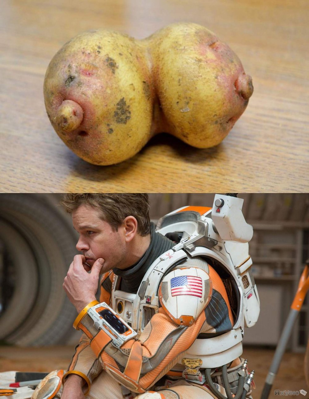 Марсианин картофель