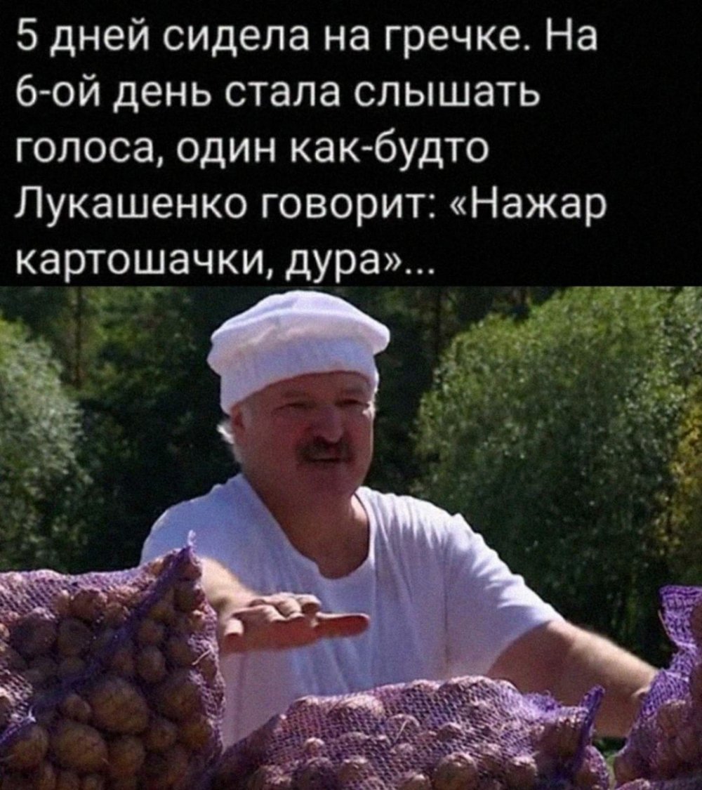 Нажарь картошки Лукашенко