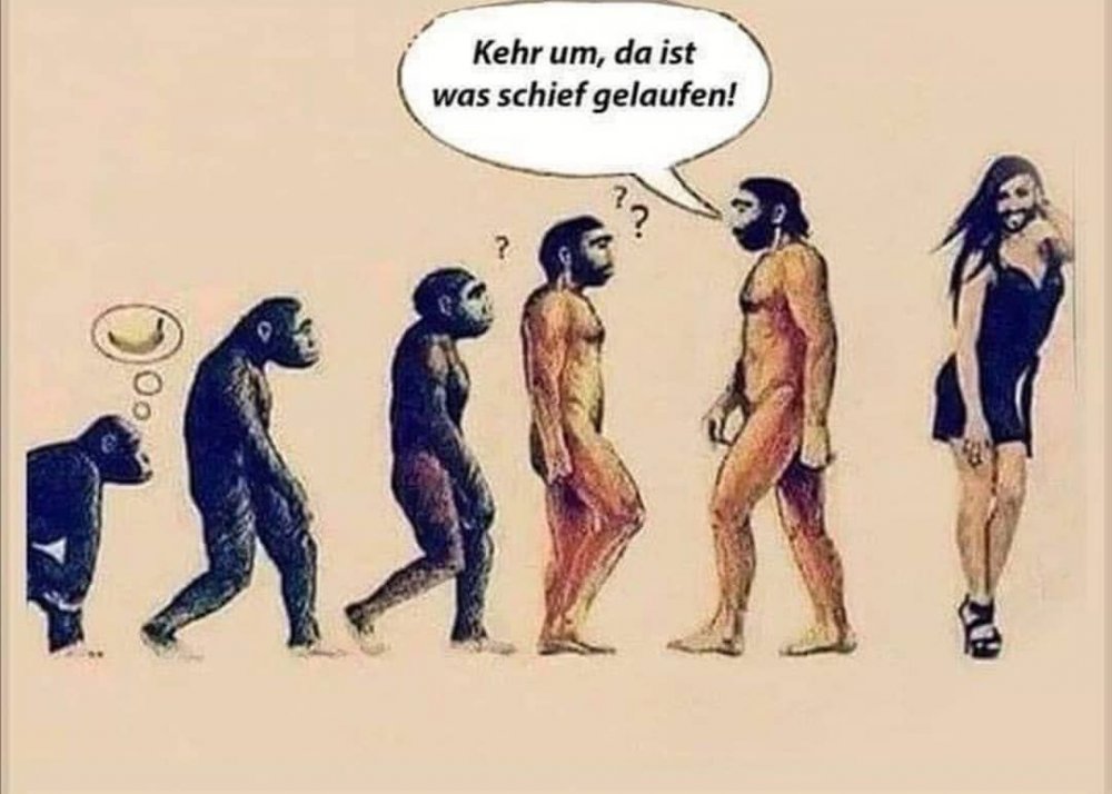 Эволюция человека прикол