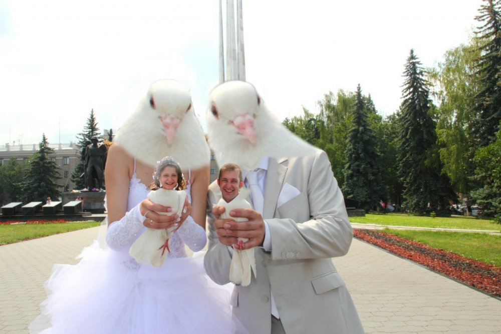 Смешные фотошопы свадьбы
