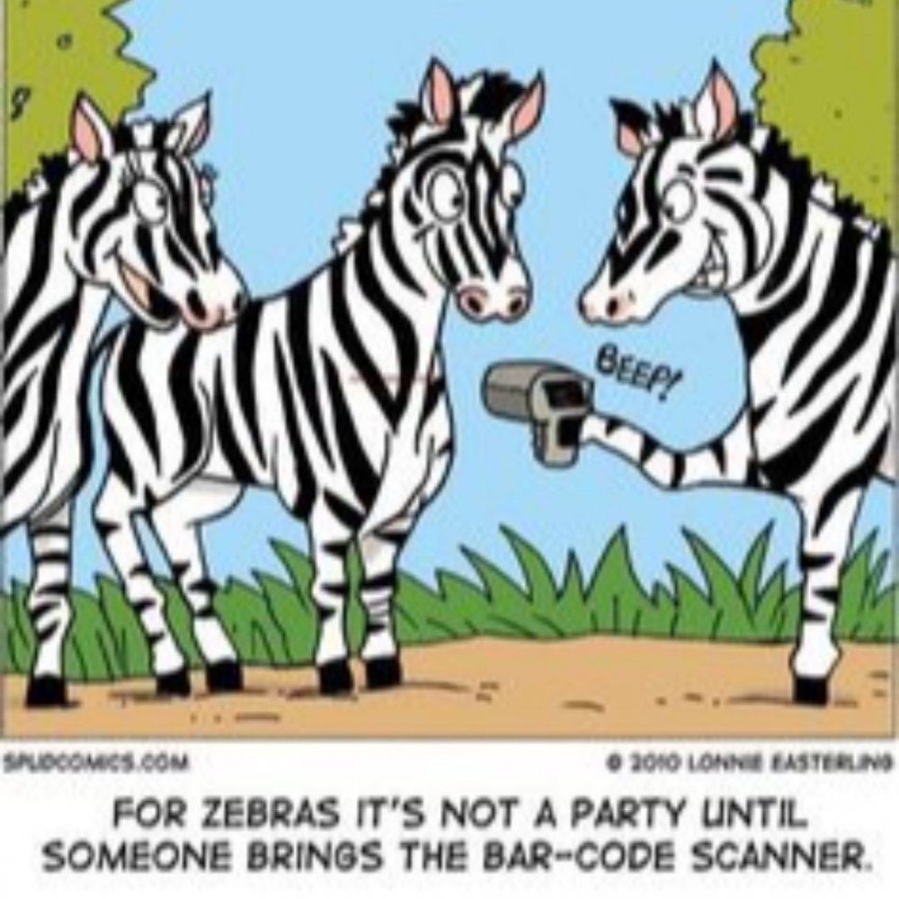 Смешная шутка про зебру
