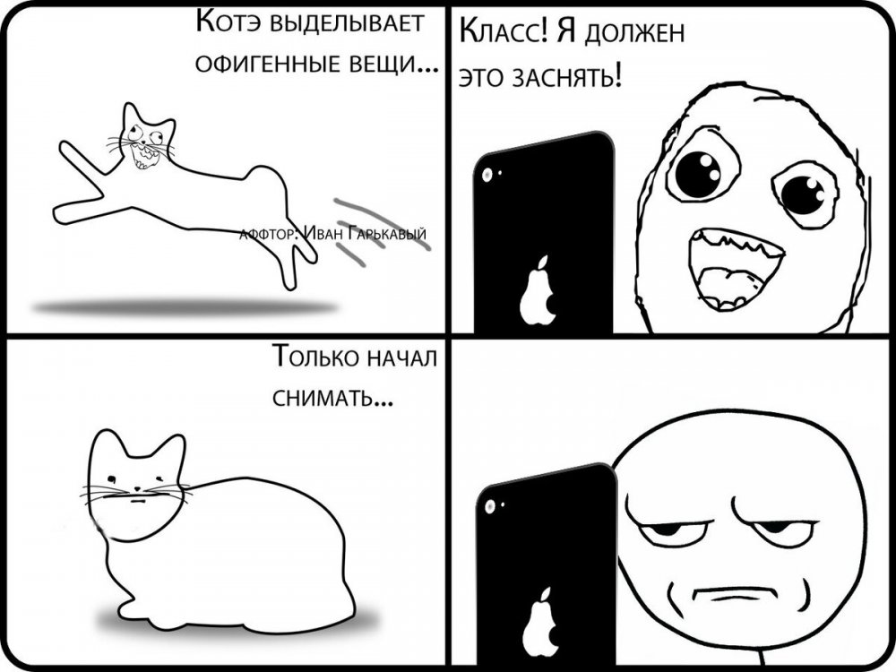 Мемы с котами про школу