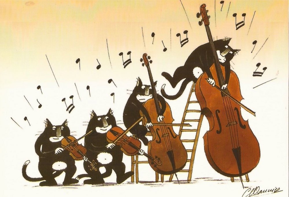Кошачий оркестр