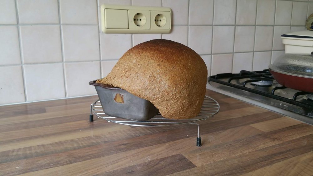 Смешные фото с днём хлеба